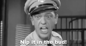 NipInTheBud